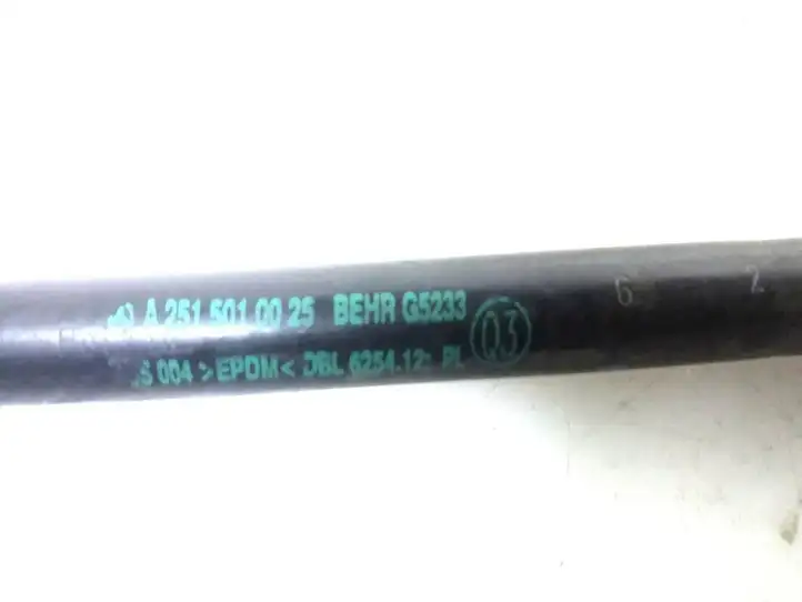 Mercedes-Benz R W251 (2005 - 2013) A2515010025 Трубка подачи воздуха — фото 2