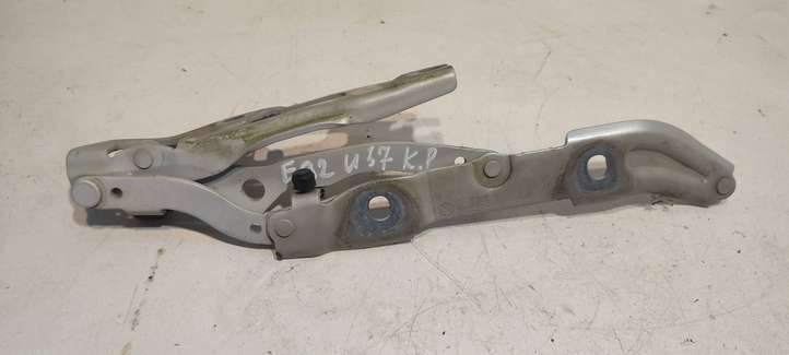 BMW 3 E92 E93 (2005 - 2014)  7060627 Петля (петли) задней крышки