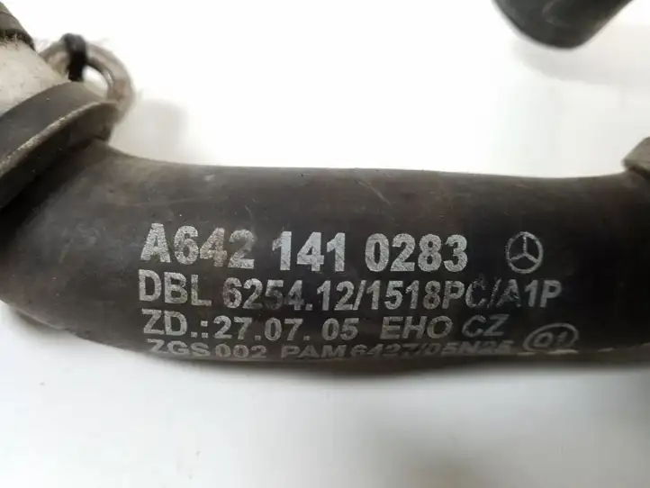 Mercedes-Benz Vito Viano W639 (2003 - 2010) A6421410283 Трубка подачи воздуха — фото 3