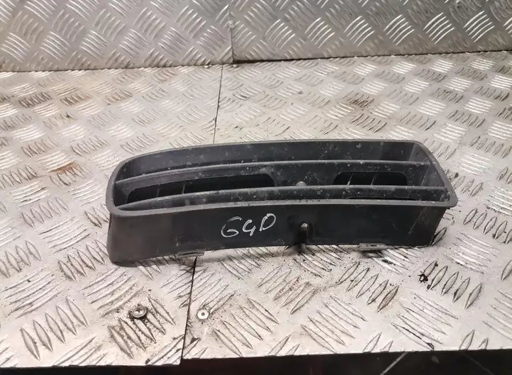 Volkswagen Golf IV (1998 - 2005) Нижняя решетка переднего бампера — фото 1