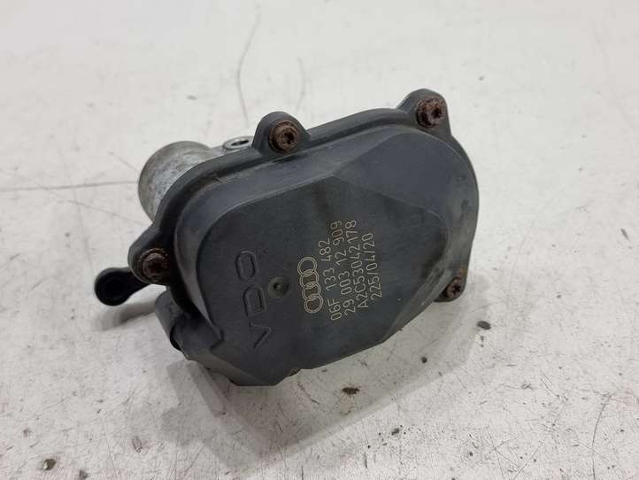 Audi A6 (2004 - 2008)  06F133482 Двигатель заслонки