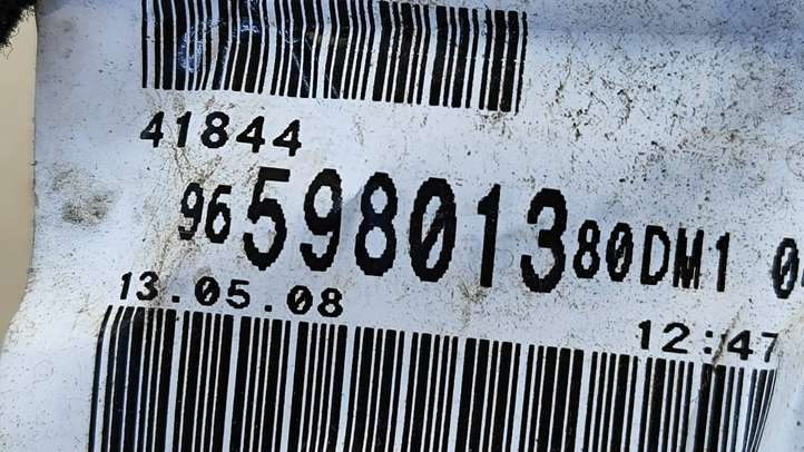 Citroen C3 (2002 - 2009)  9659801380 Проводка передних дверей