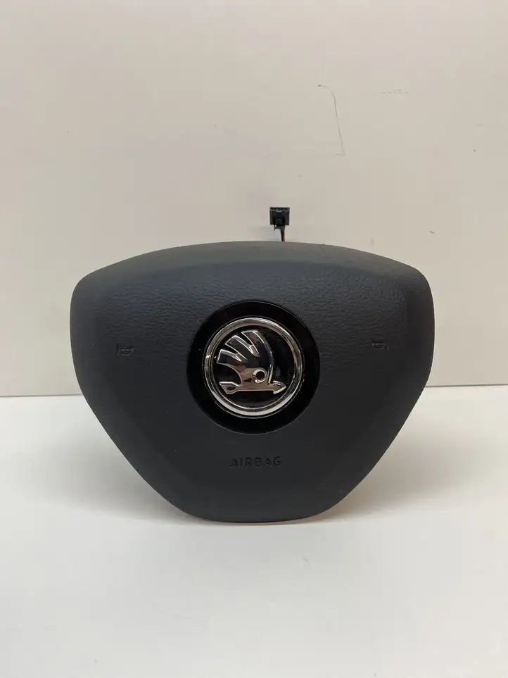 Skoda Kamiq (2019 - ) 6V0880201T Подушка безопасности руля — фото 1