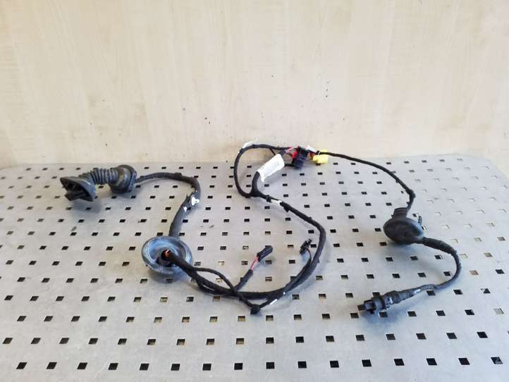Audi TT (2010 - 2014)  8J0971030AD Проводка передних дверей