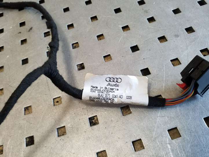 Audi TT (2010 - 2014)  8J0971030AD Проводка передних дверей