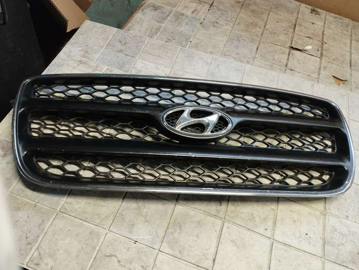 Hyundai Santa Fe (2005 - 2009)  E865612B000 Верхняя решётка