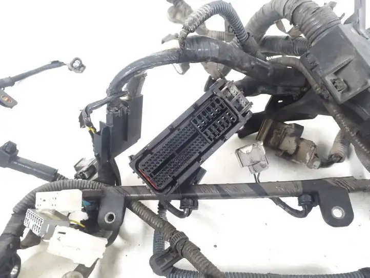 Toyota RAV 4 (XA30) (2006 - 2016) 82121-42A40 Проводка двигателя — фото 2