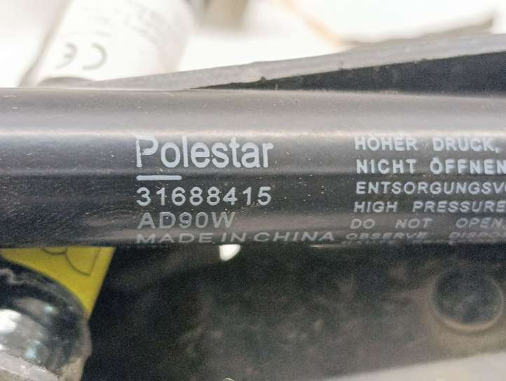Polestar 2. (2020 - )  31688414 Петля (петли) капота