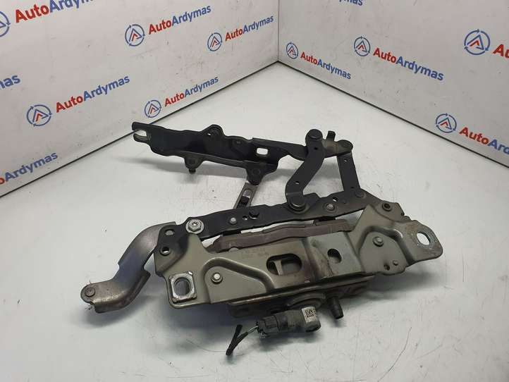 BMW 5 F10 F11 (2009 - 2016)  7207199 Петля (петли) капота