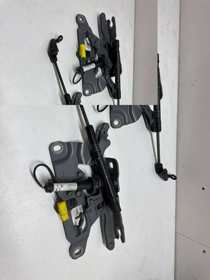 BMW 6 F12 F13 (2010 - 2018)  7249888 Петля (петли) капота