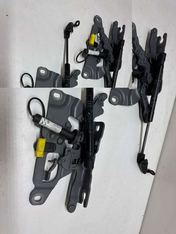 BMW 6 F12 F13 (2010 - 2018)  7249888 Петля (петли) капота