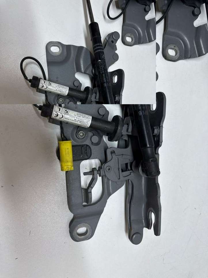 BMW 6 F12 F13 (2010 - 2018)  7249888 Петля (петли) капота