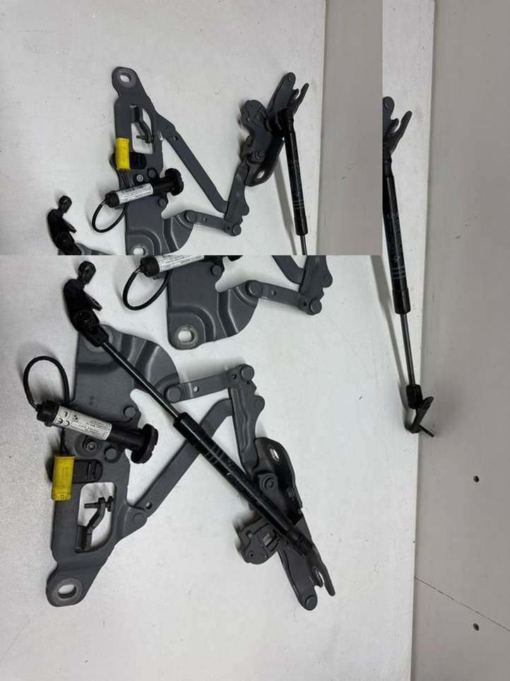 BMW 6 F12 F13 (2010 - 2018)  7249888 Петля (петли) капота