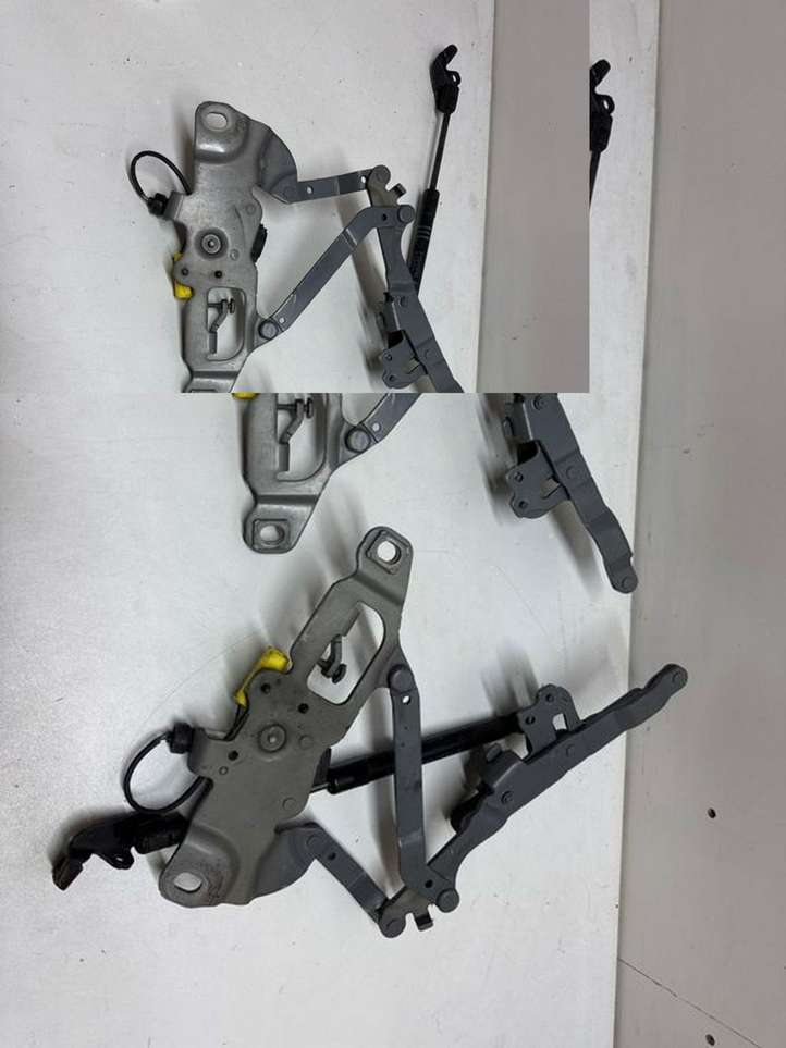 BMW 6 F12 F13 (2010 - 2018)  7249888 Петля (петли) капота