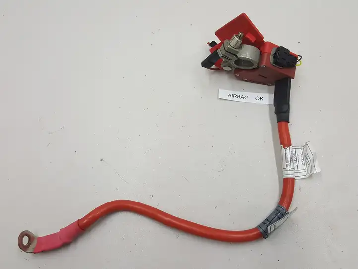 BMW 3 F30 F35 F31 (2012 - 2018) 10057310 Плюсовой провод аккумулятора — фото 2