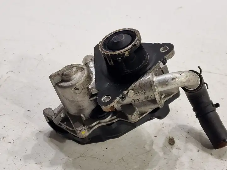 Skoda Octavia Mk3 (5E) (2013 - 2019)  04L131501S Клапан EGR