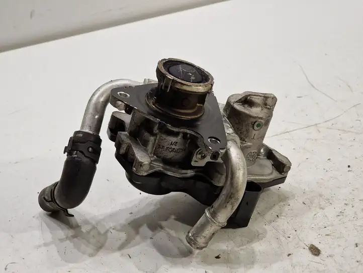 Skoda Octavia Mk3 (5E) (2013 - 2019)  04L131501S Клапан EGR