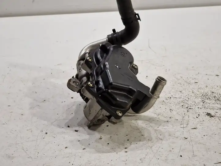 Skoda Octavia Mk3 (5E) (2013 - 2019)  04L131501S Клапан EGR