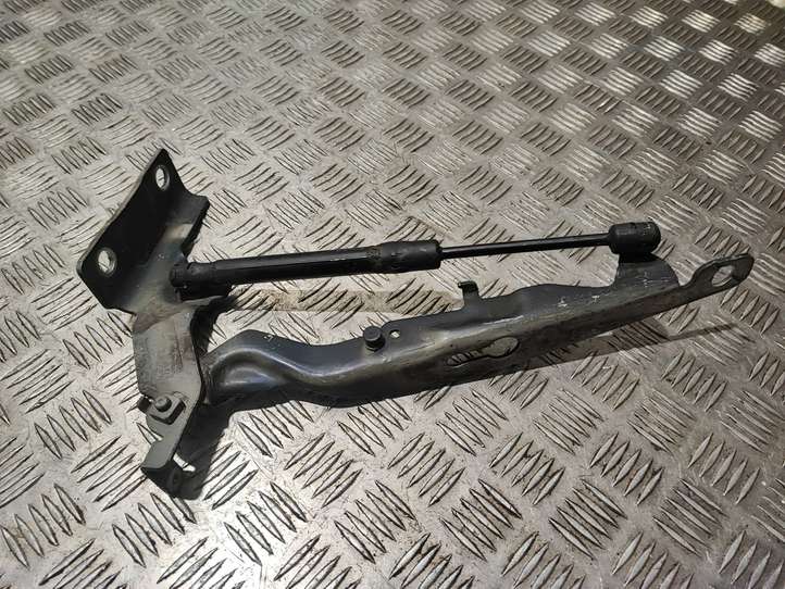 Volvo S80 (2006 - 2009)  30799173 Петля (петли) задней крышки