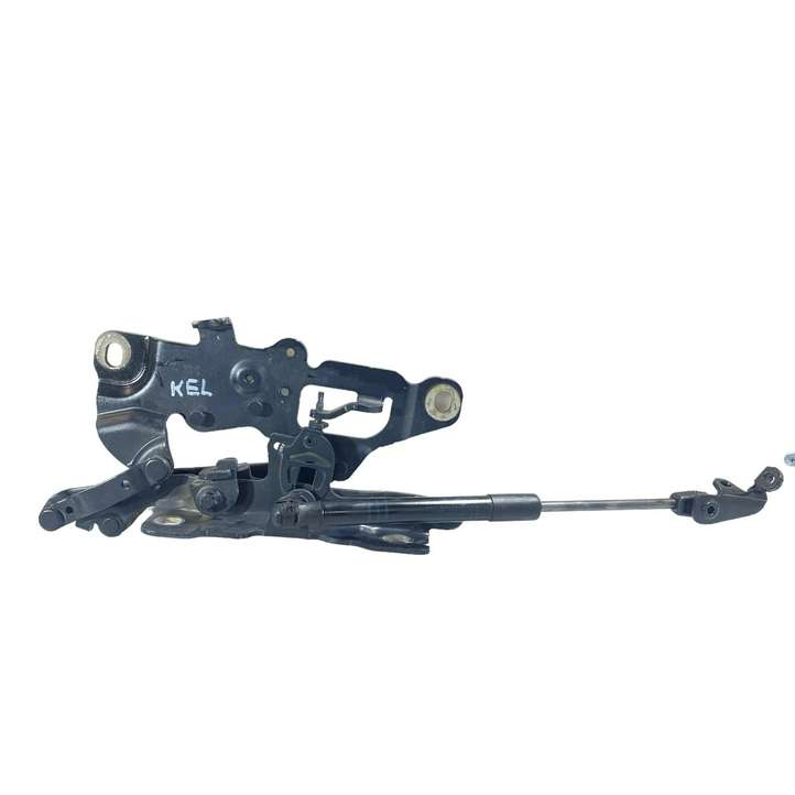 BMW 5 F10 F11 (2009 - 2016)  7249888 Петля (петли) капота