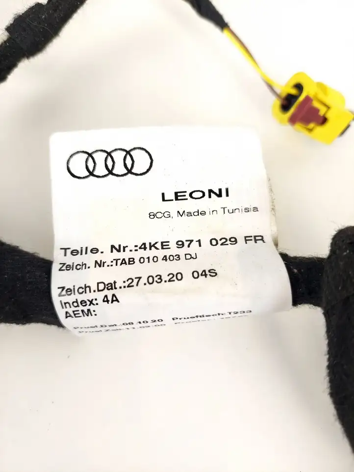 Audi e-tron (2018 - ) 4KE971029FR Жгут проводов двери — фото 2