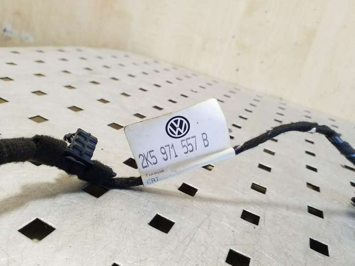 Volkswagen Caddy (2010 - 2015)  2K5971557B Проводка передних дверей