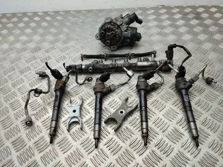 Volkswagen Tiguan (2007 - 2011) 0445010529 Комплект системы впрыска — фото 1