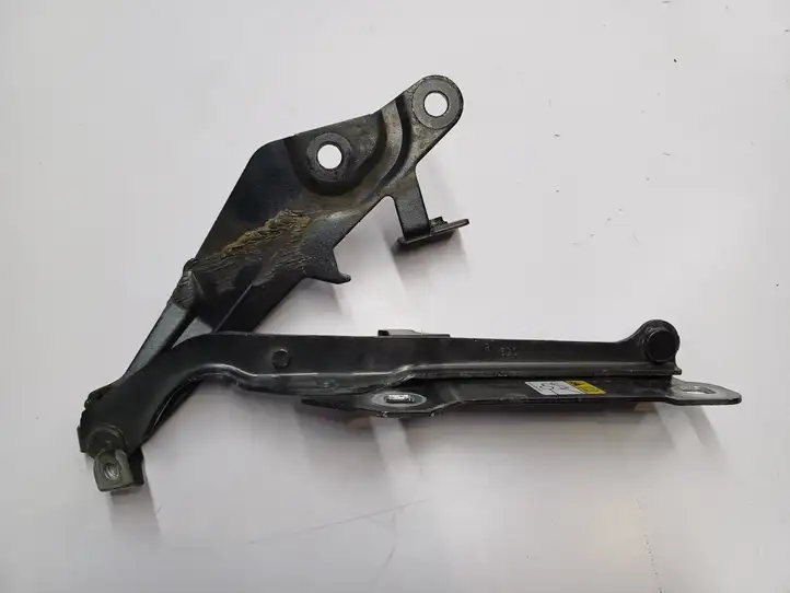 Ford Mustang VI (2015 - )  GR3B16800AC Петля (петли) капота