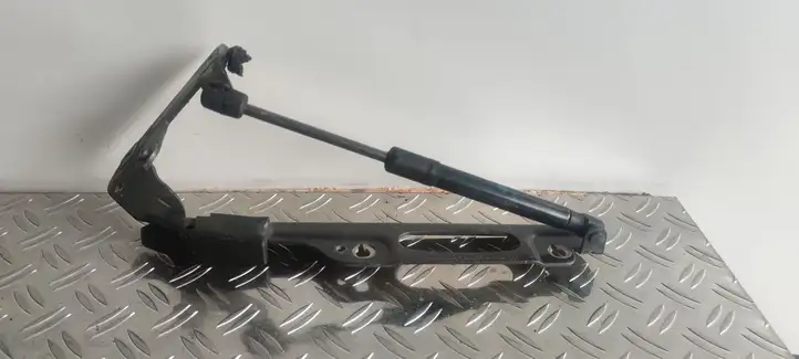 Porsche 911 991 (2011 - 2019) 99151115203 Петли капота — фото 1