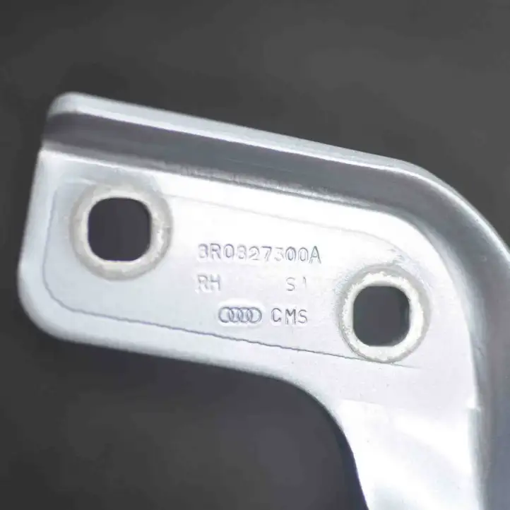 Audi Q5 SQ5 (2008 - 2012) 8R0827300A Петли крышки багажника — фото 3