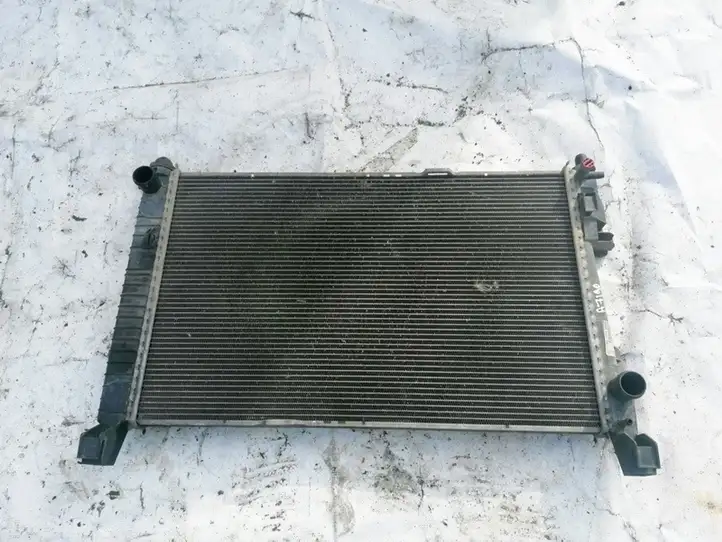 Mercedes-Benz A W169 (2004 - 2012) A1695000703 Радиатор охлаждающей жидкости двигателя — фото 1