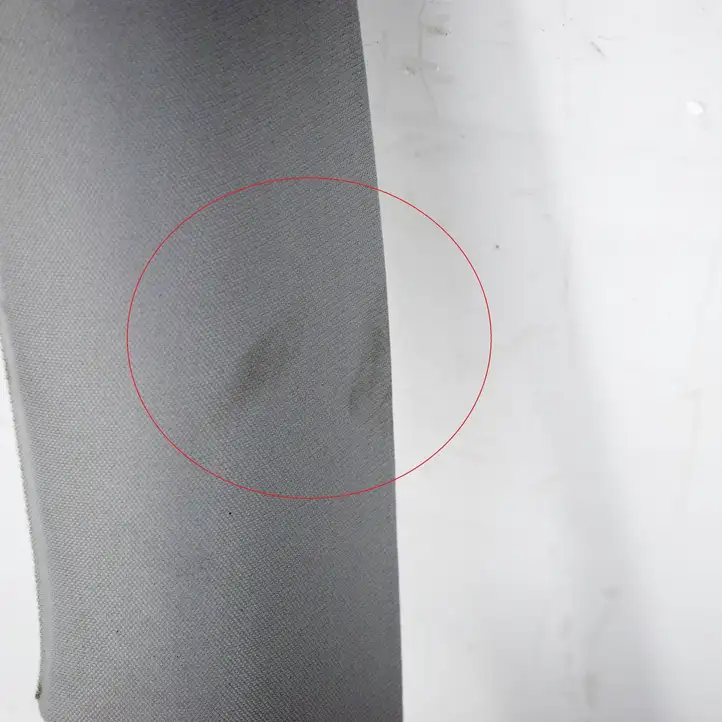 Tesla Model 3 (2017 - 2023) 161441101F Потолочная обшивка — фото 5