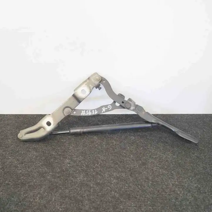 BMW 3 E90 E91 (2005 - 2012) 7250308 Петли крышки багажника — фото 2