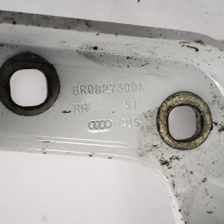 Audi Q5 SQ5 (2008 - 2012) 8R0827300A Петли крышки багажника — фото 3