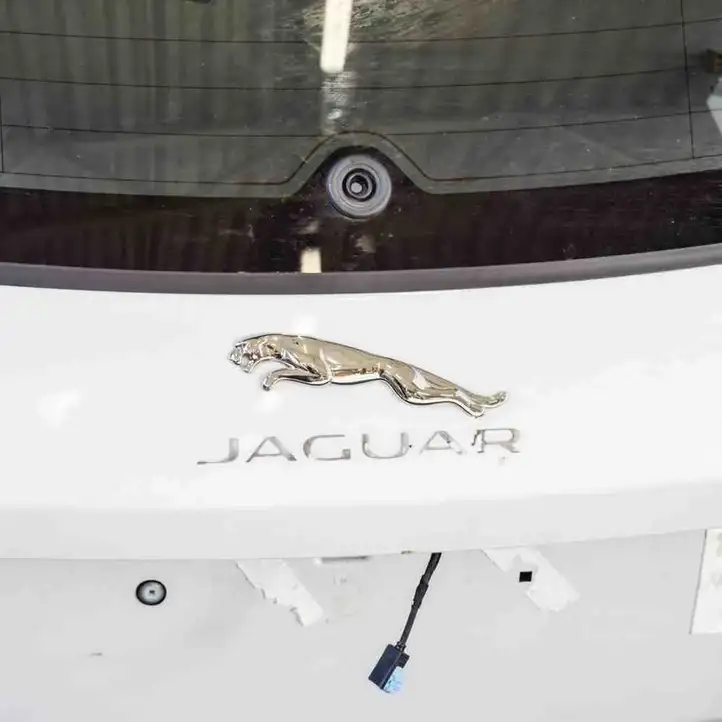 Jaguar F-Pace (2016 - ) T4A11942LML Крышка багажника — фото 4