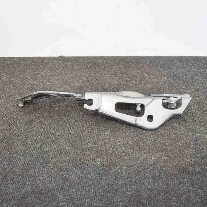 BMW 2 F22 F23 (2013 - 2017) 7304557 Петли крышки багажника — фото 3