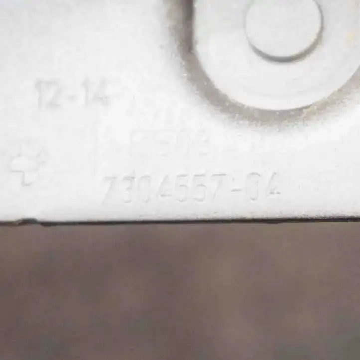 BMW 2 F22 F23 (2013 - 2017) 7304557 Петли крышки багажника — фото 6