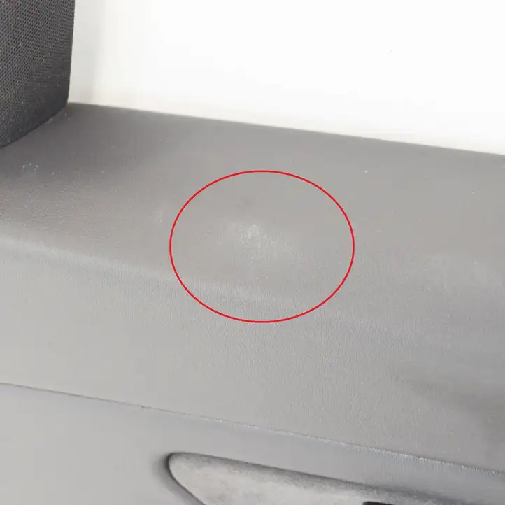 Tesla Model 3 (2017 - 2023) 109041191G Обшивка передней двери — фото 6
