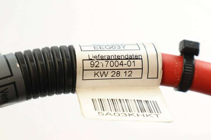 BMW X5M E70 (2010 - 2013)  9217004 Узел подключения плюсовых проводов