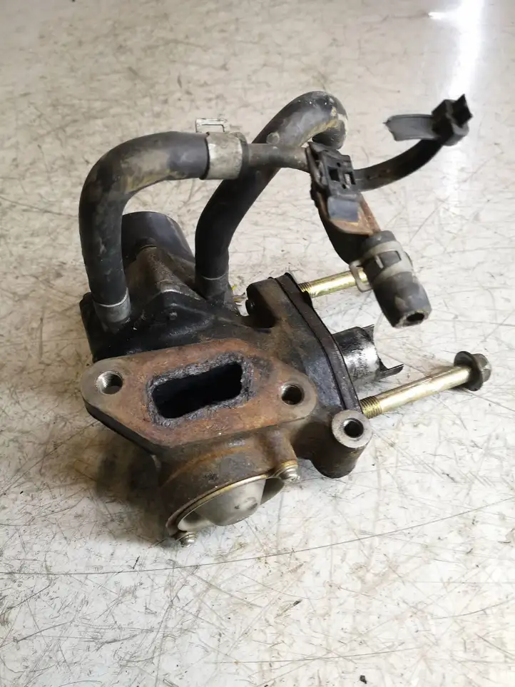 Nissan X-Trail T30 (2001 - 2007)   Клапан EGR