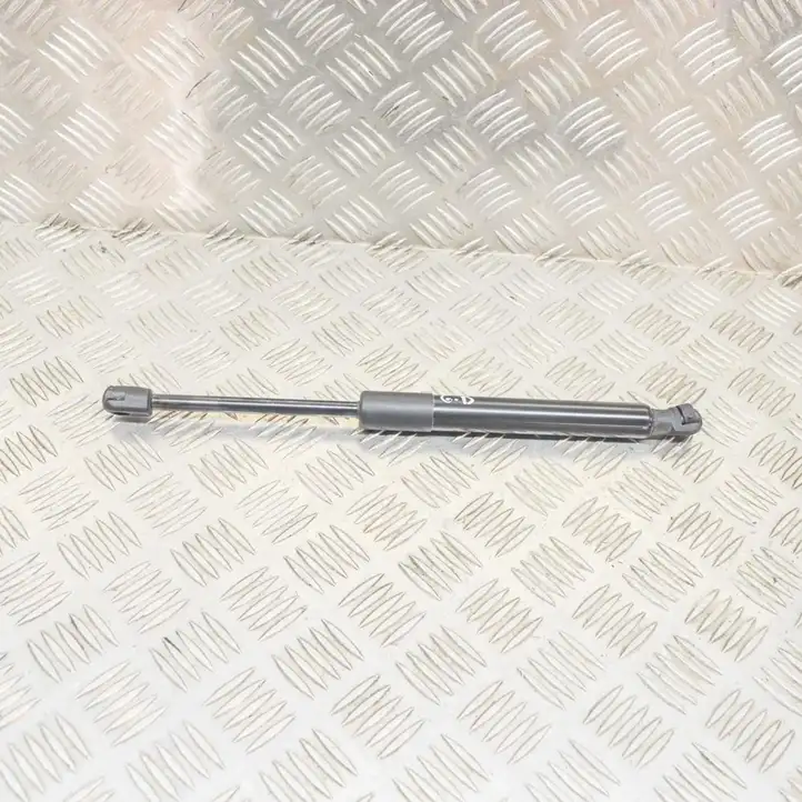 Tesla Model 3 (2017 - 2023) 109156000B Амортизатор с пружиной — фото 1