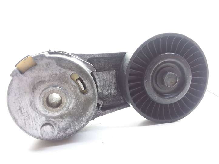 Opel Signum (2002 - 2008)  24430296 Устройство натяжки ремня