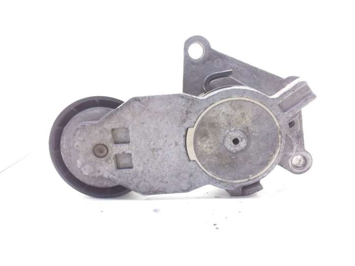 Citroen C3 (2002 - 2009)  TF049 Устройство натяжки ремня