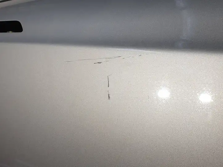 Tesla Model S (2012 - 2016) Дверь — фото 2