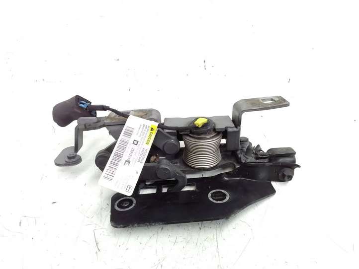 Cadillac CTS (2007 - 2014)  25909698 Петля (петли) капота