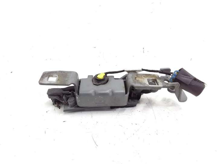 Cadillac CTS (2007 - 2014)  25909698 Петля (петли) капота