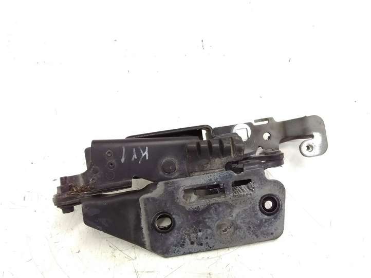 Cadillac CTS (2007 - 2014)  25909698 Петля (петли) капота