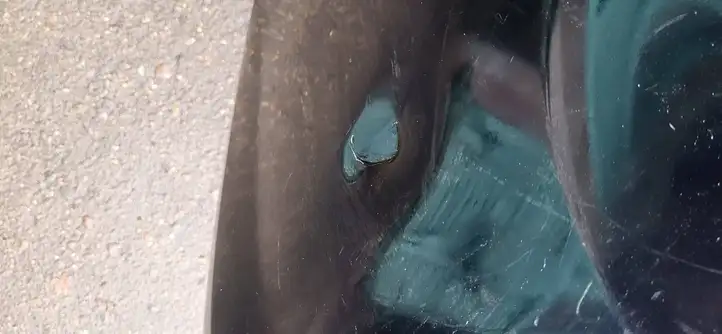 BMW 7 F01 (2008 - 2016) 51127183877 Задний бампер — фото 5
