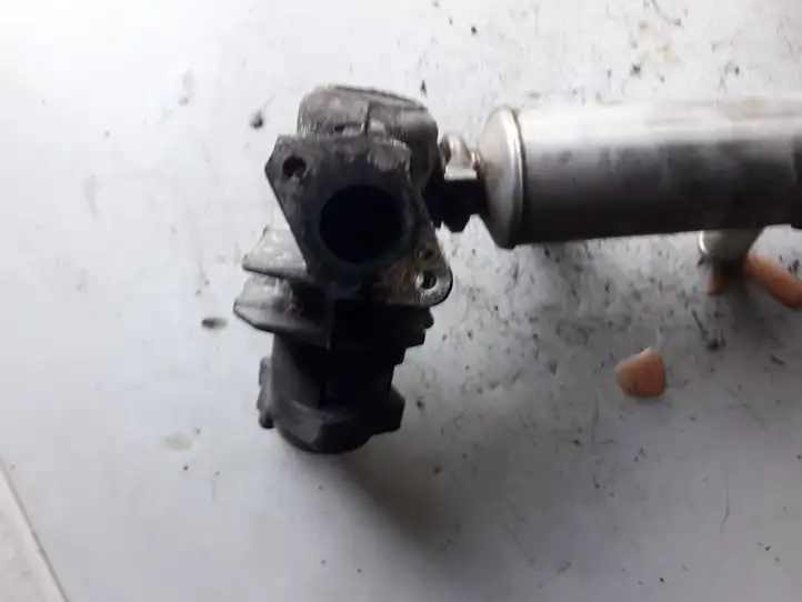 Peugeot Bipper (2008 - 2011)   Клапан EGR