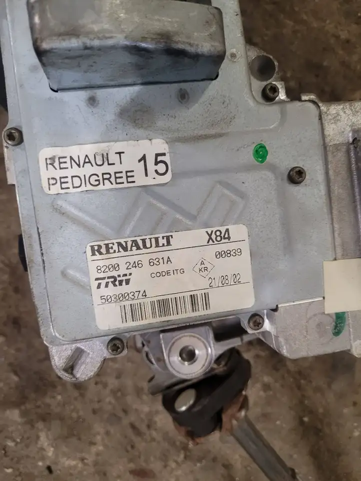 Renault Megane II (2002 - 2005) 8200246631A Насос гидроусилителя руля — фото 1